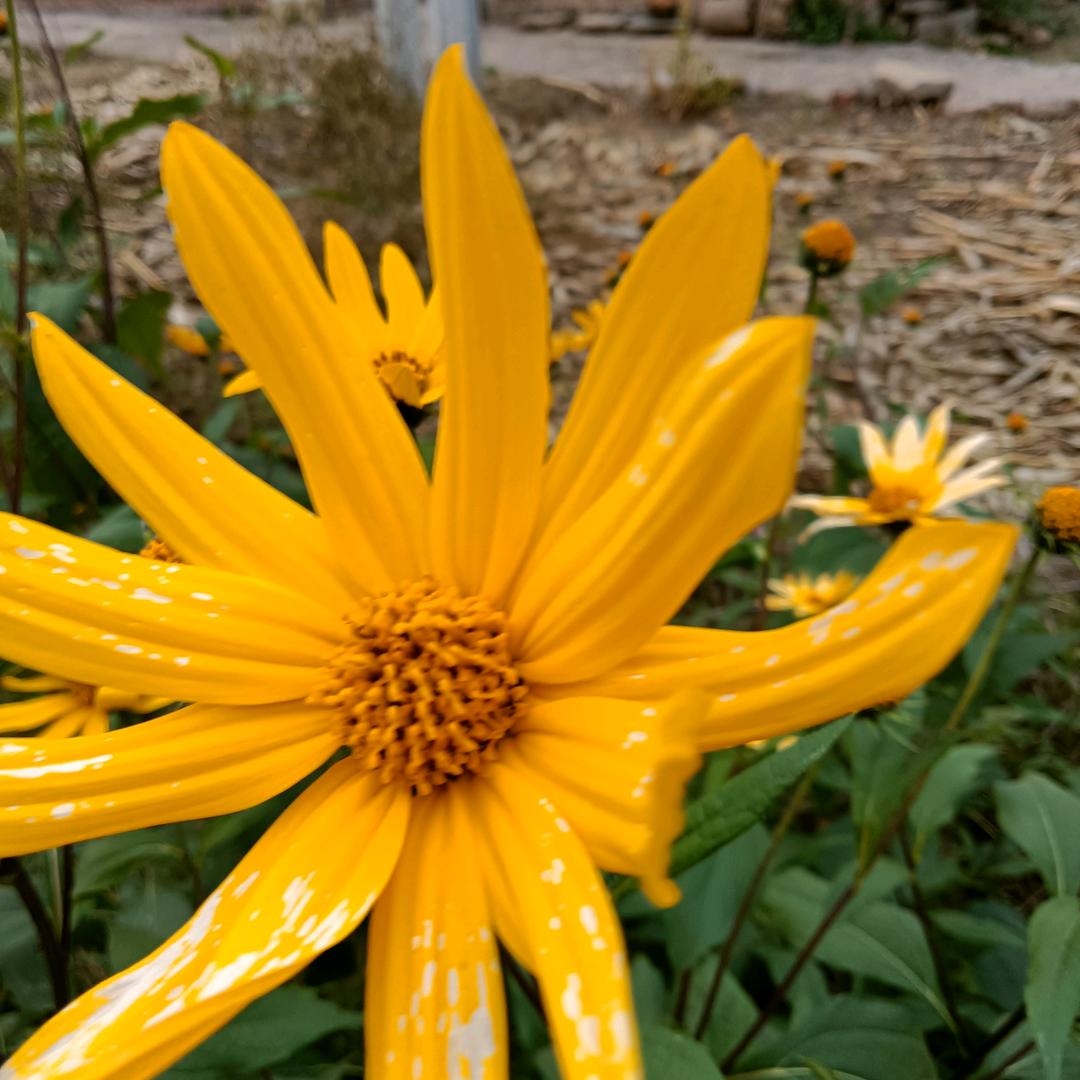 董哥##X18Rj6O2iLL5Y1p#