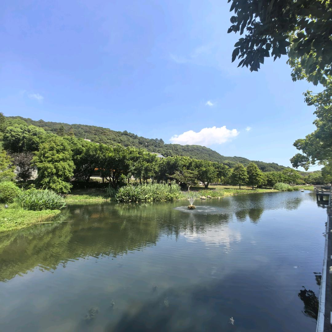 点亮未来