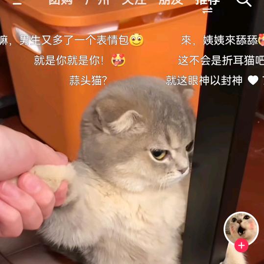 游戏人间（丞）