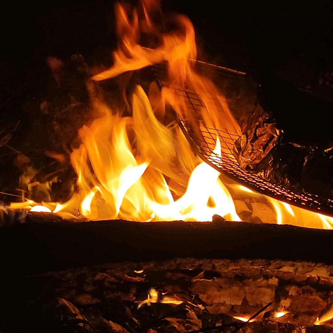 大海中的淡水鱼⁹⁰²