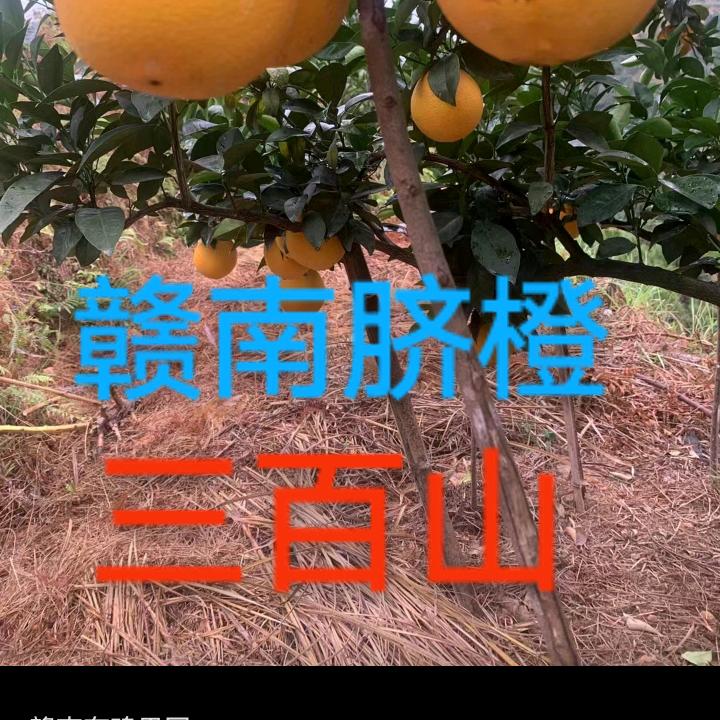 时间总会改变一切