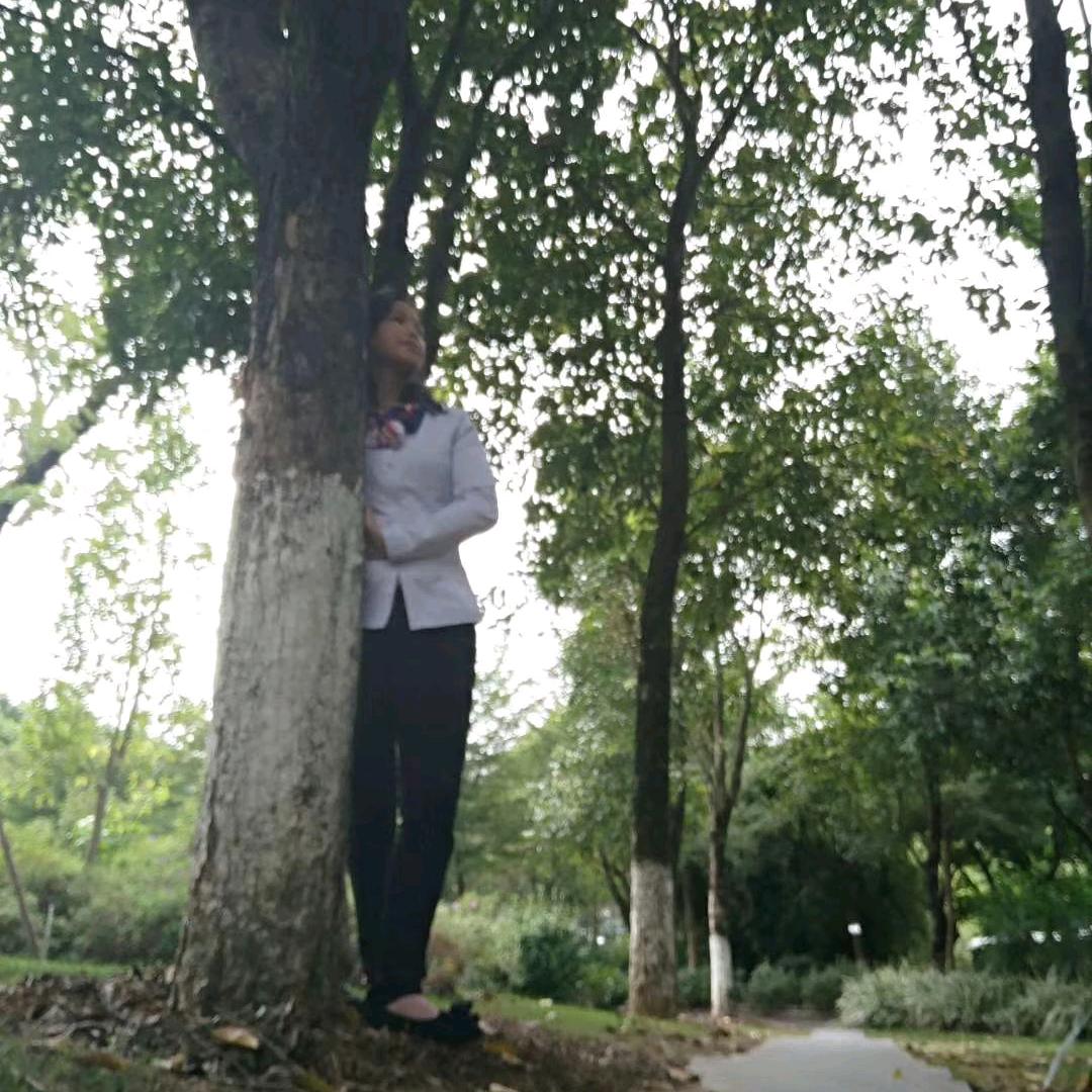 小纯