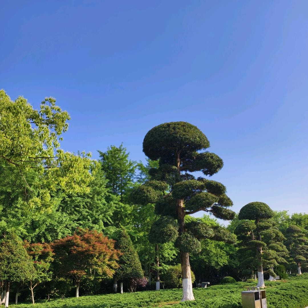 芊芊物美