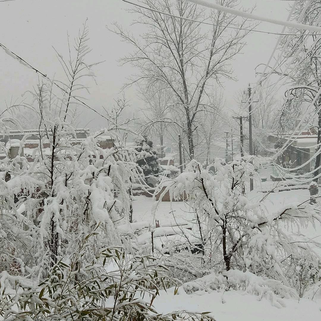 李川