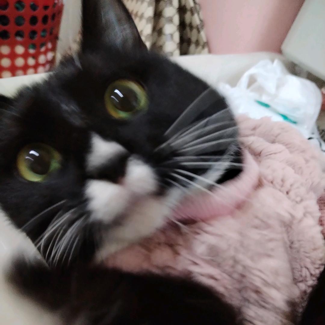 小小小小小璇.