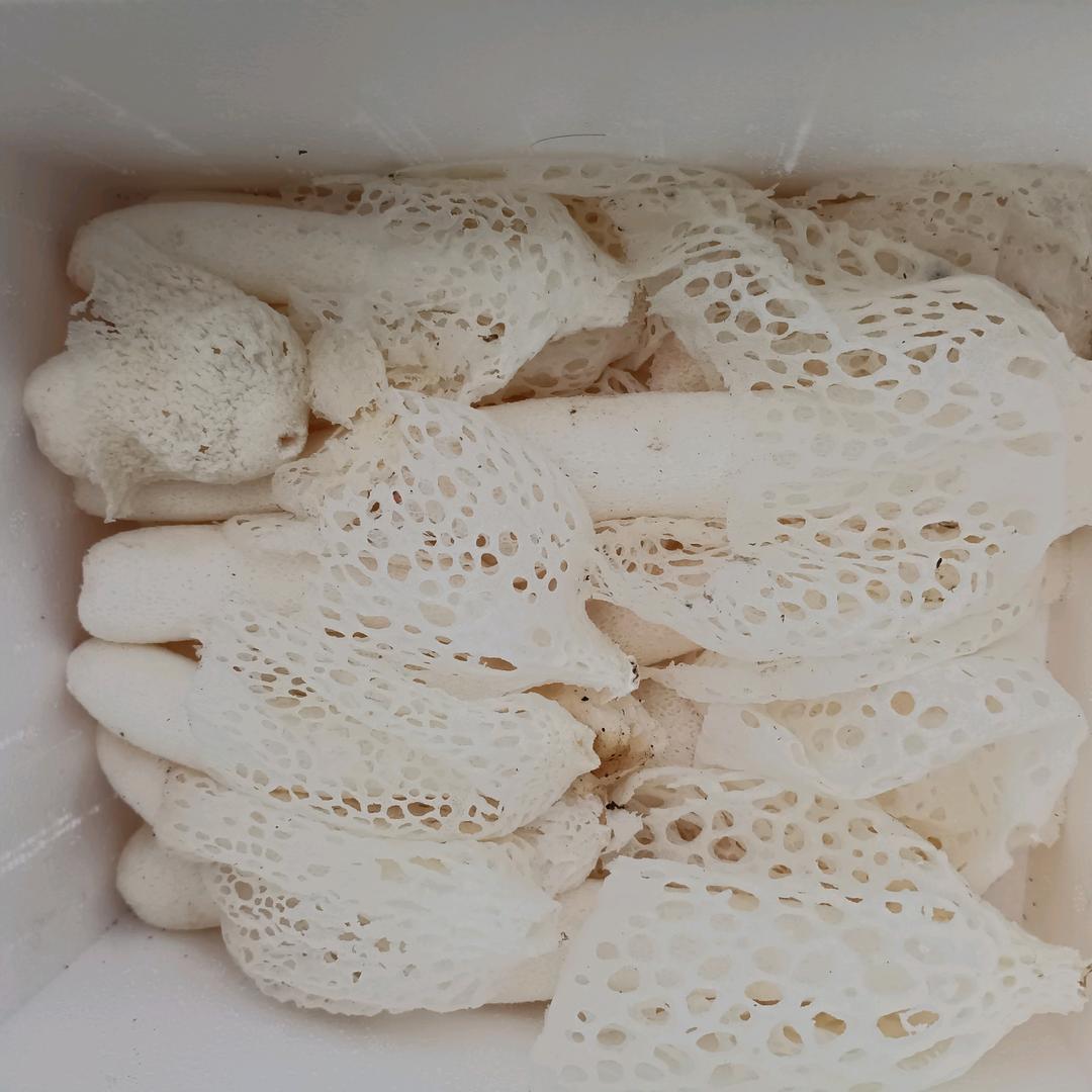 易庆文