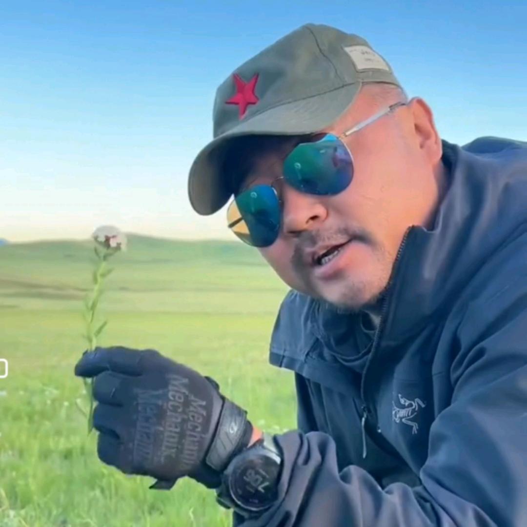 老马在草原牛羊肉