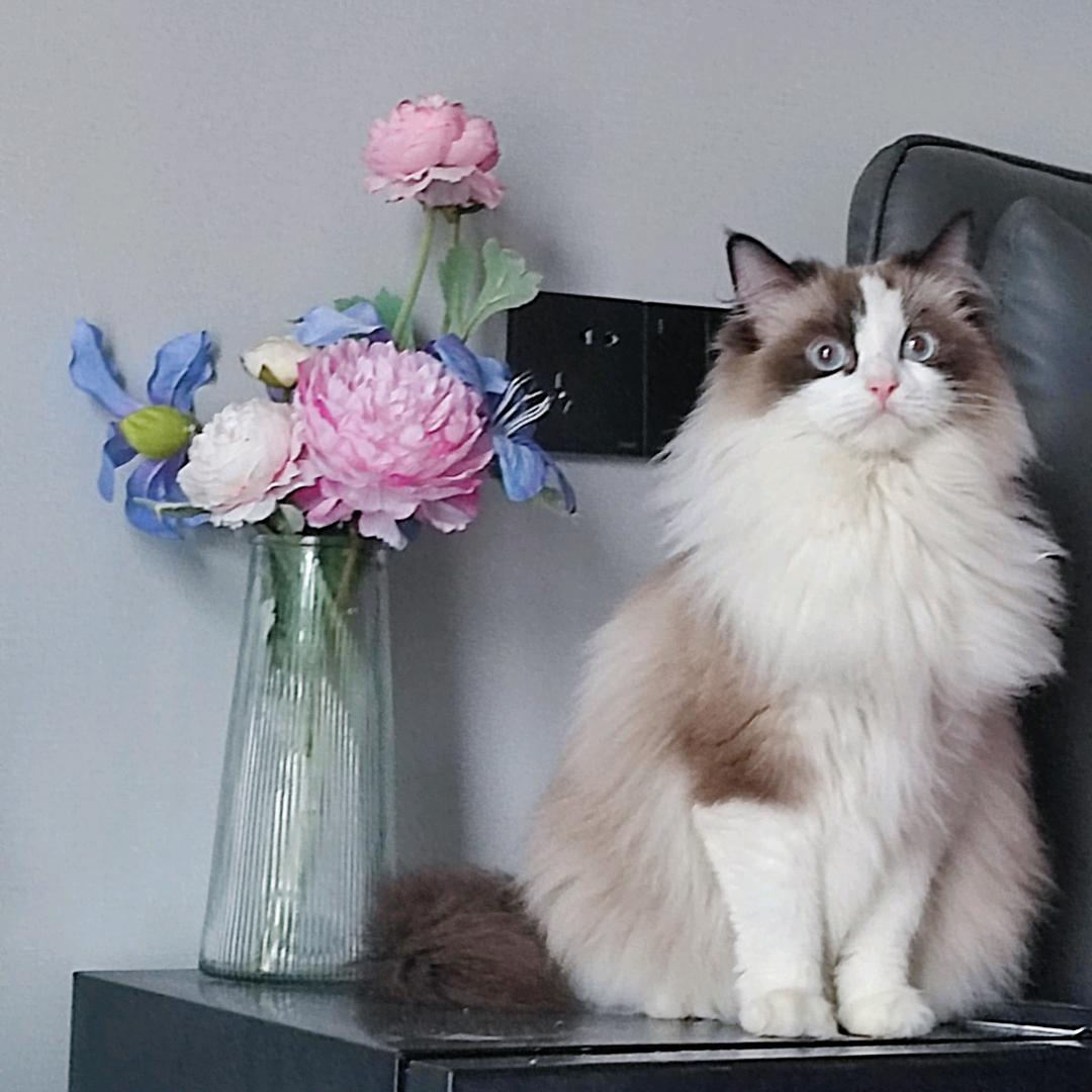 来自温州的高冷美艳性感纯情大母猴