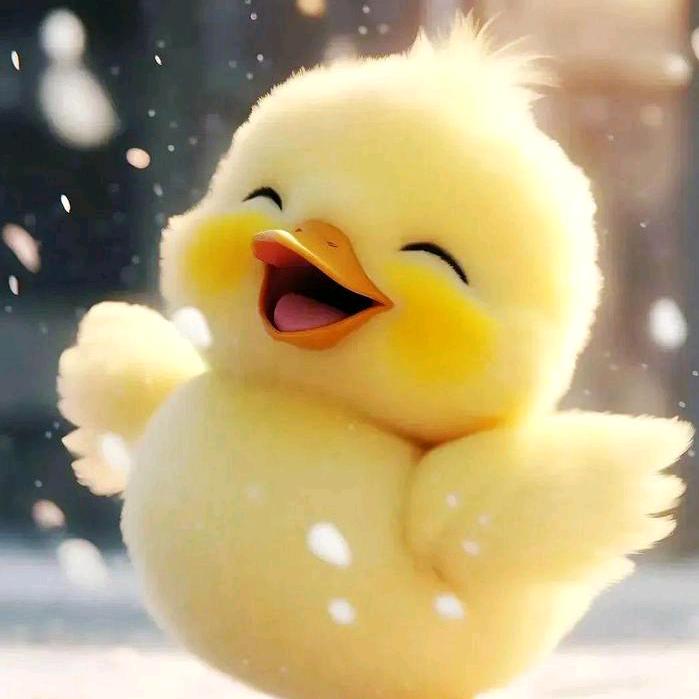 开心游戏