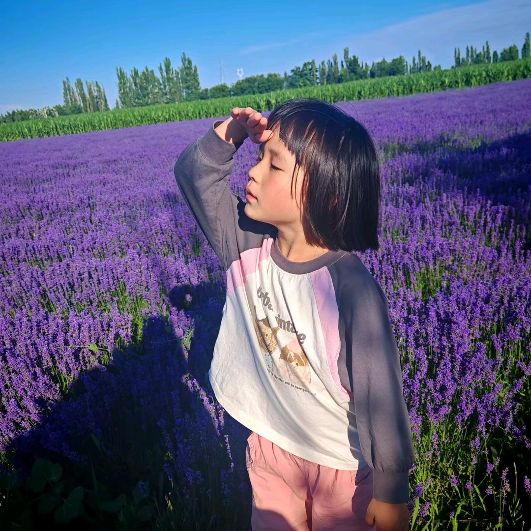 周家三小姐