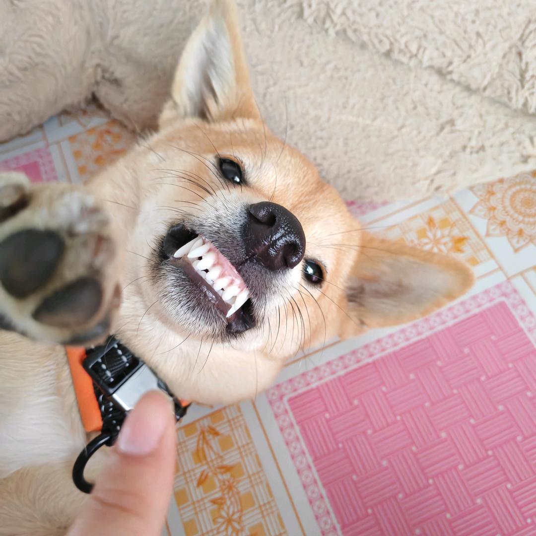 毛毛毛毛