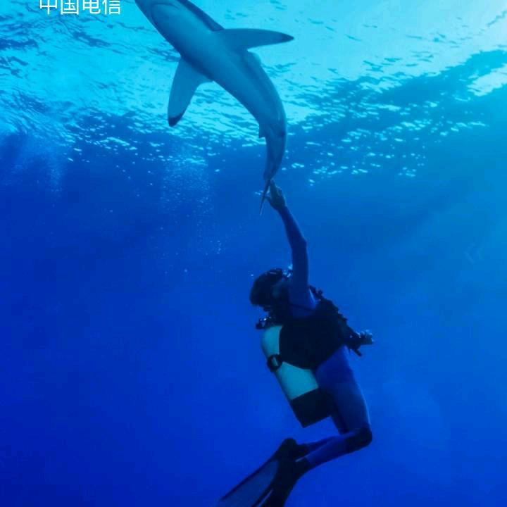 陈玄