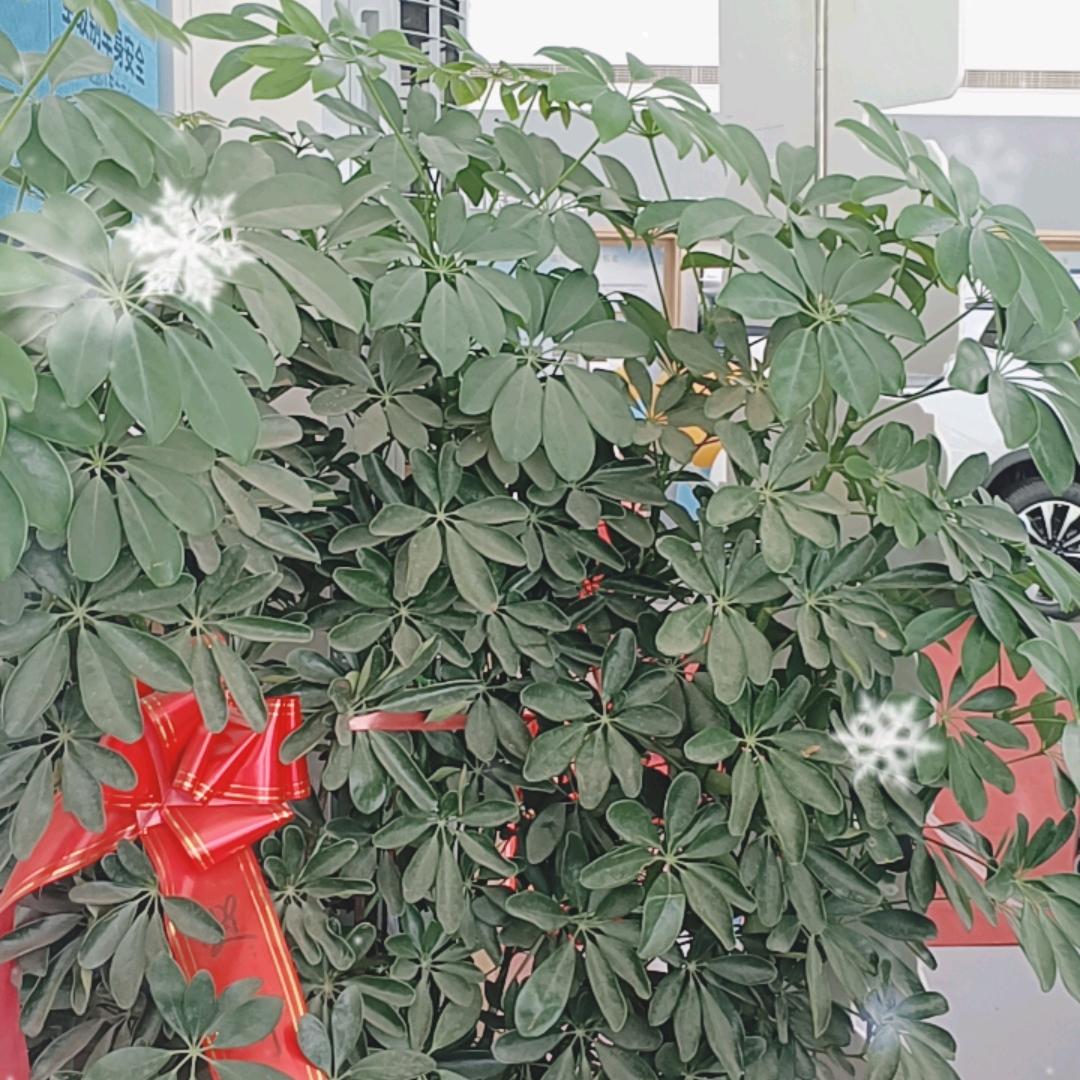 昊宇235