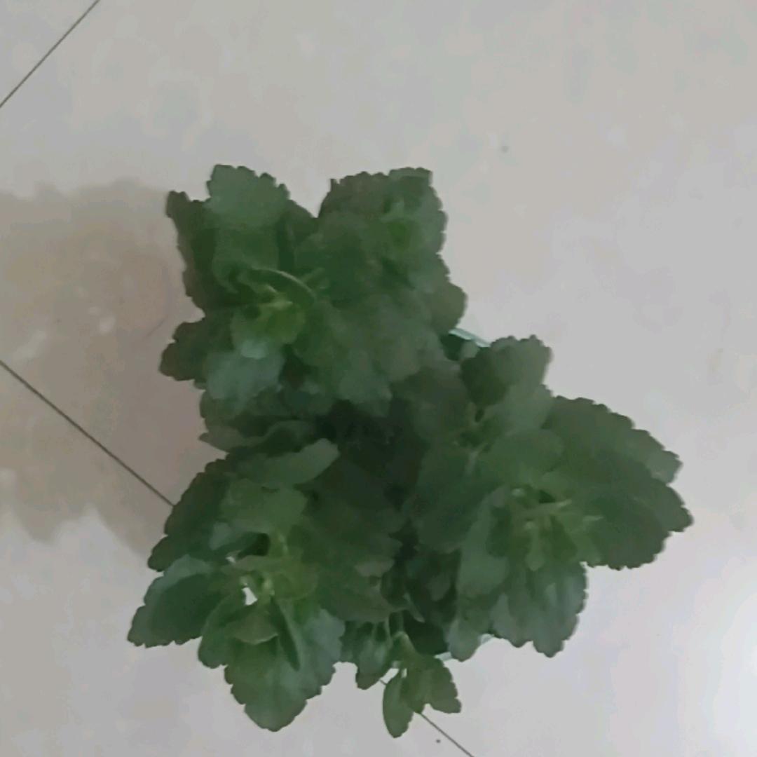 顺其自然