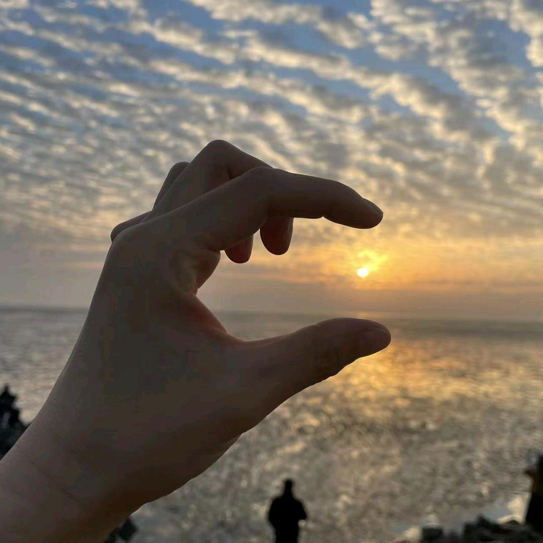 怒放的生命
