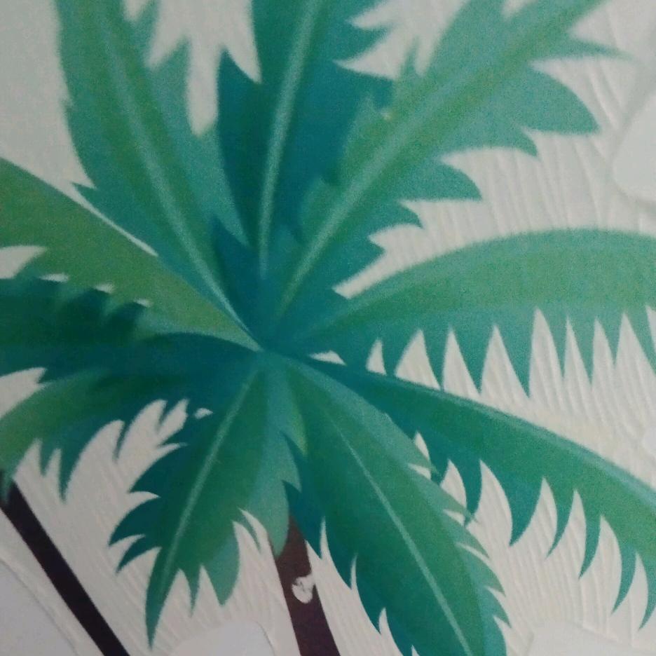 开心每一天