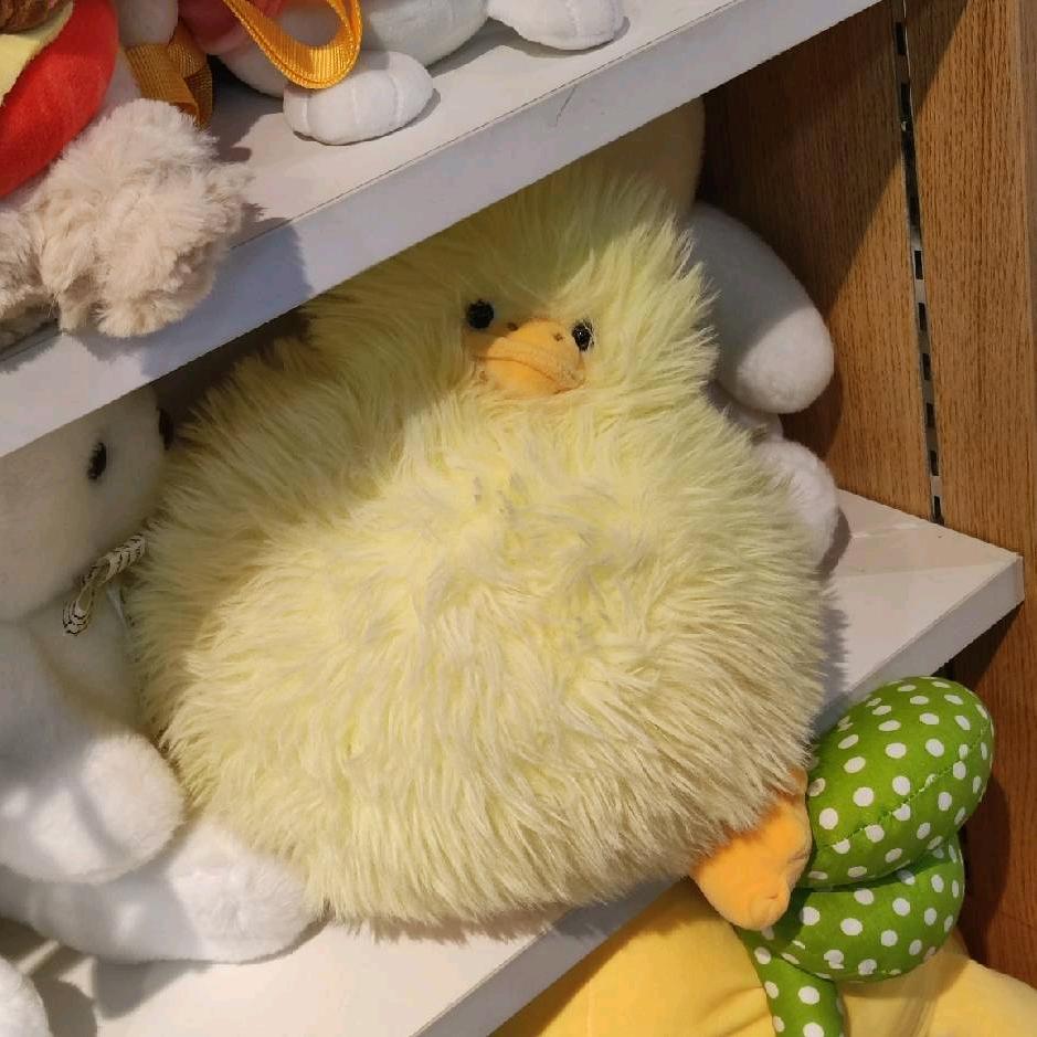 小绿