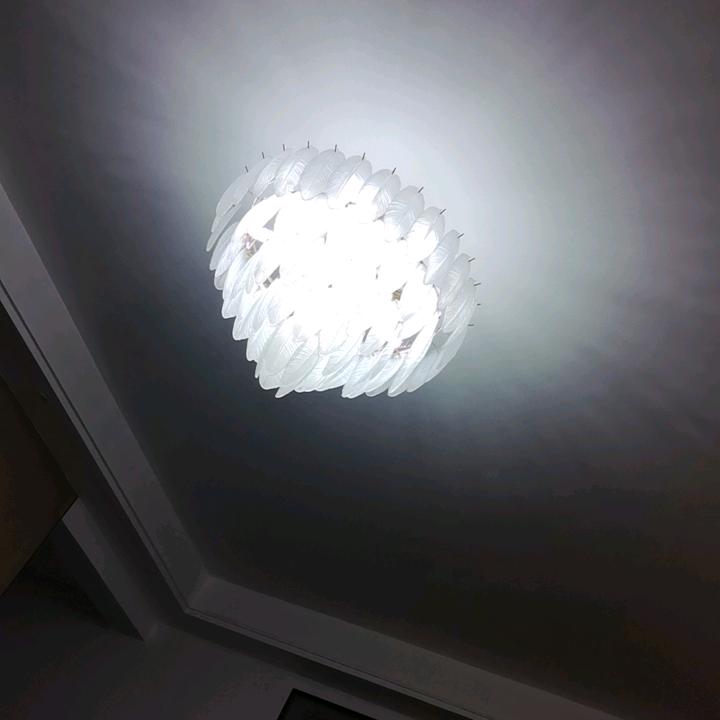 王二妮