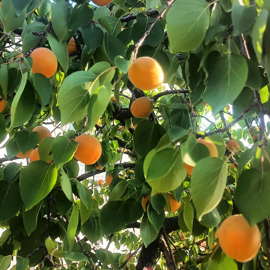 内涵,清理洗衣机太阳能，修理电动车，等