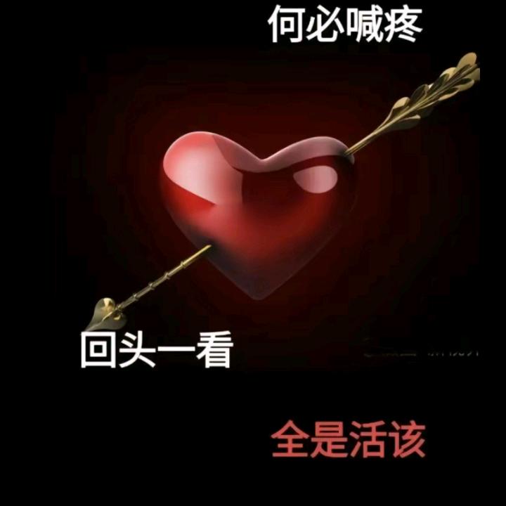 飞哥