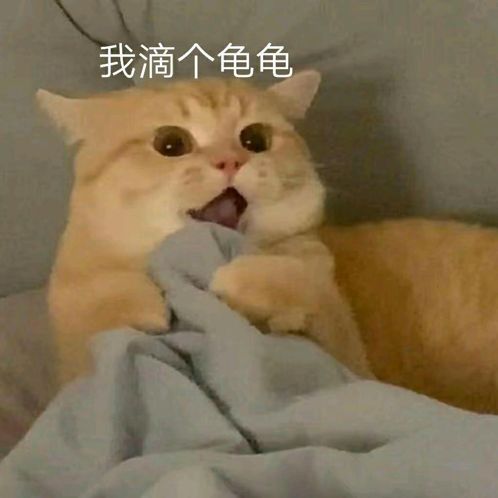 好声音～～小马