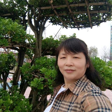 罗啰
