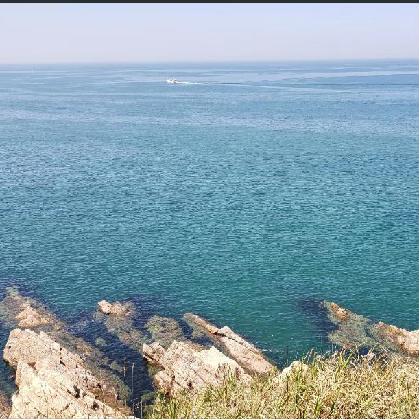 沧海