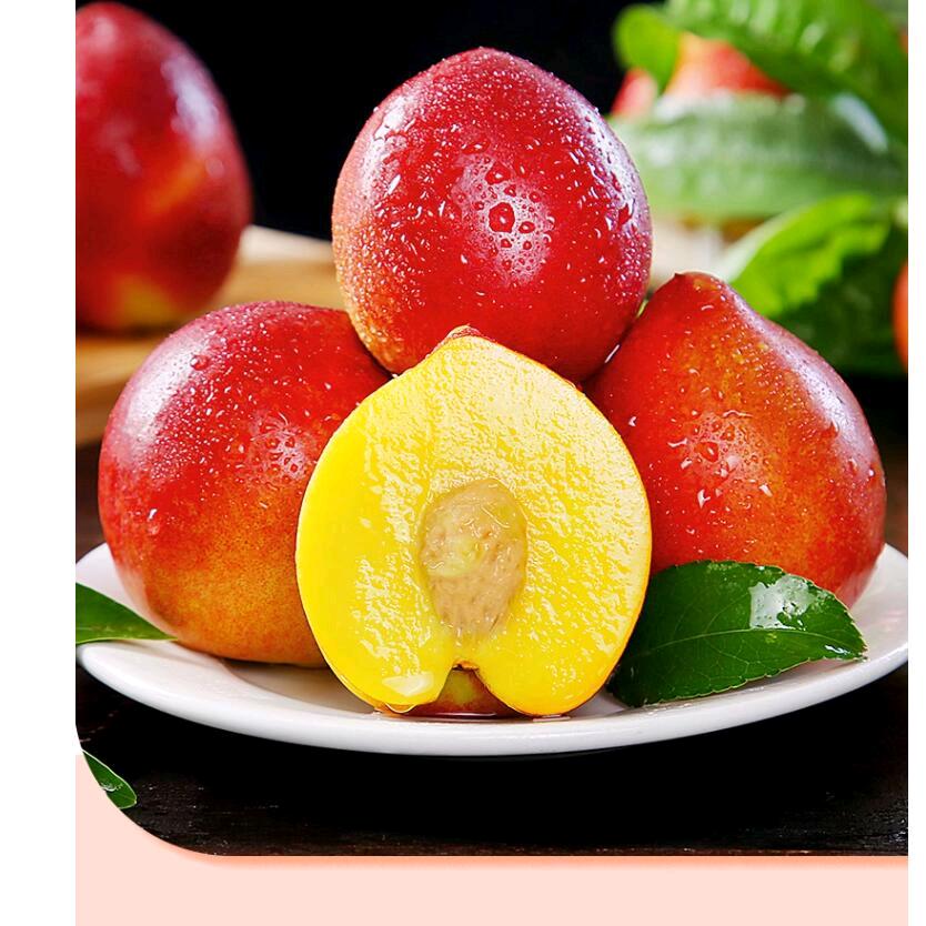 楚灿服水果啦啦