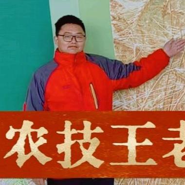 农服王老师（金正大）