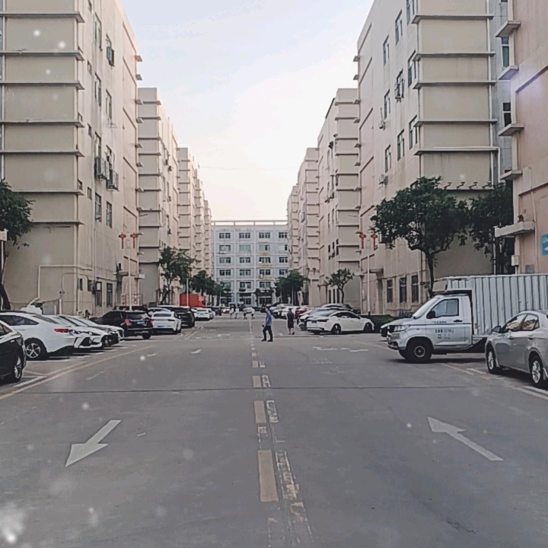 为了谁