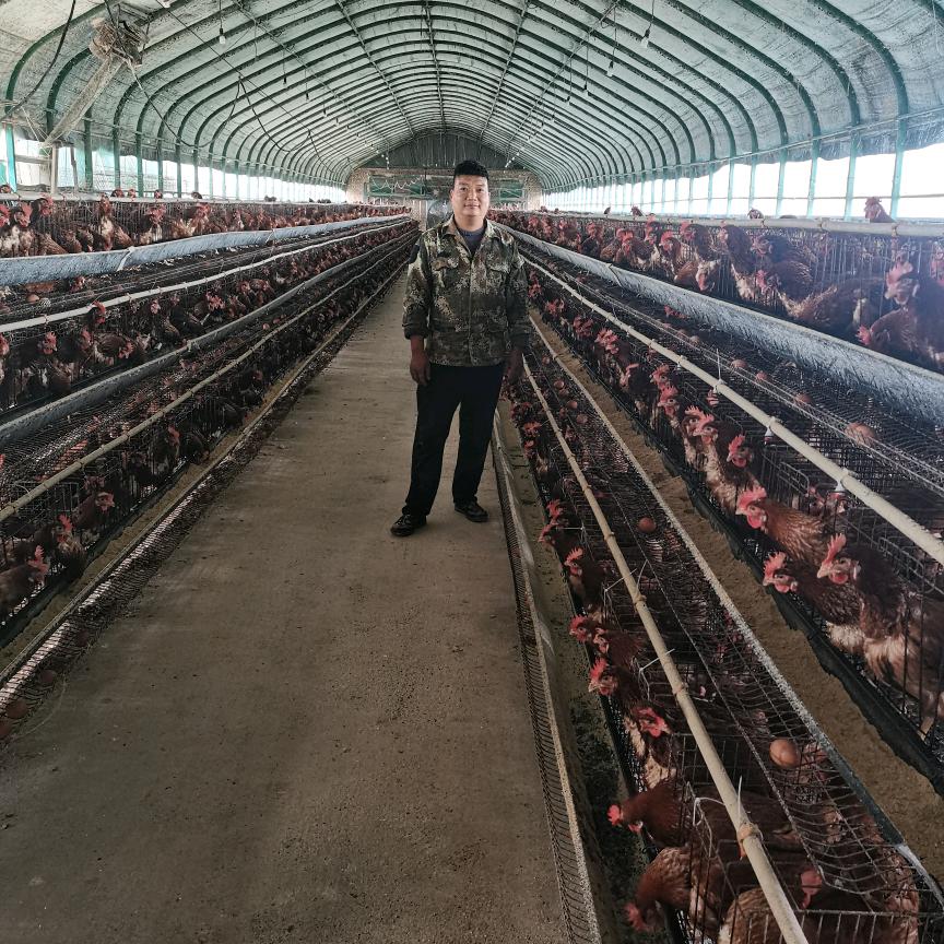 洪伟鲜鸡蛋批发