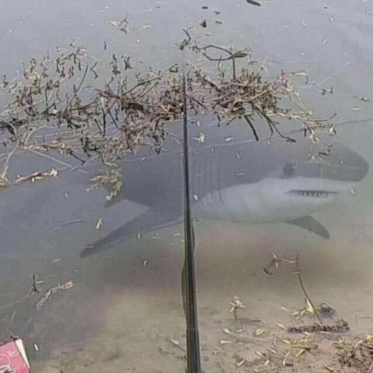 我