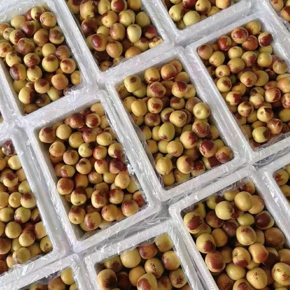 山东戈卓生鲜