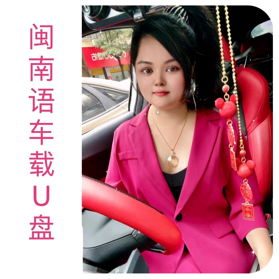 闽南玲子车载U盘