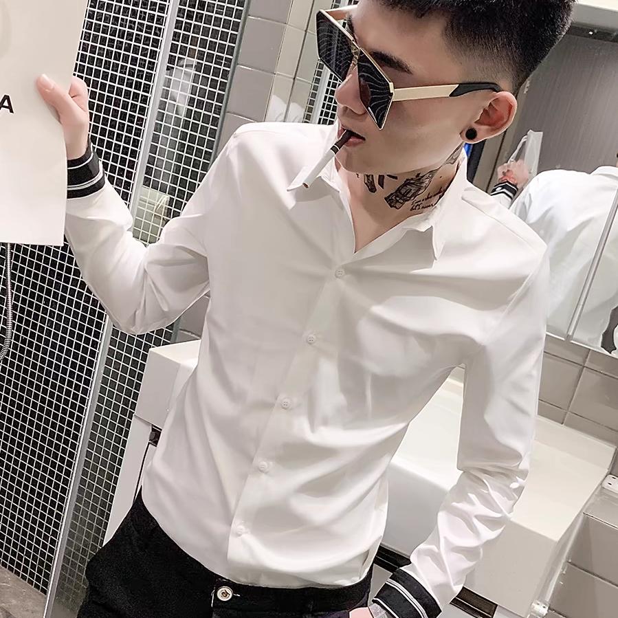 呆呆睡不饱