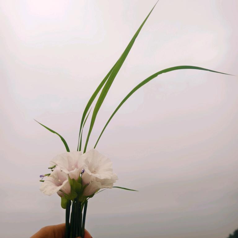 幸运lucky