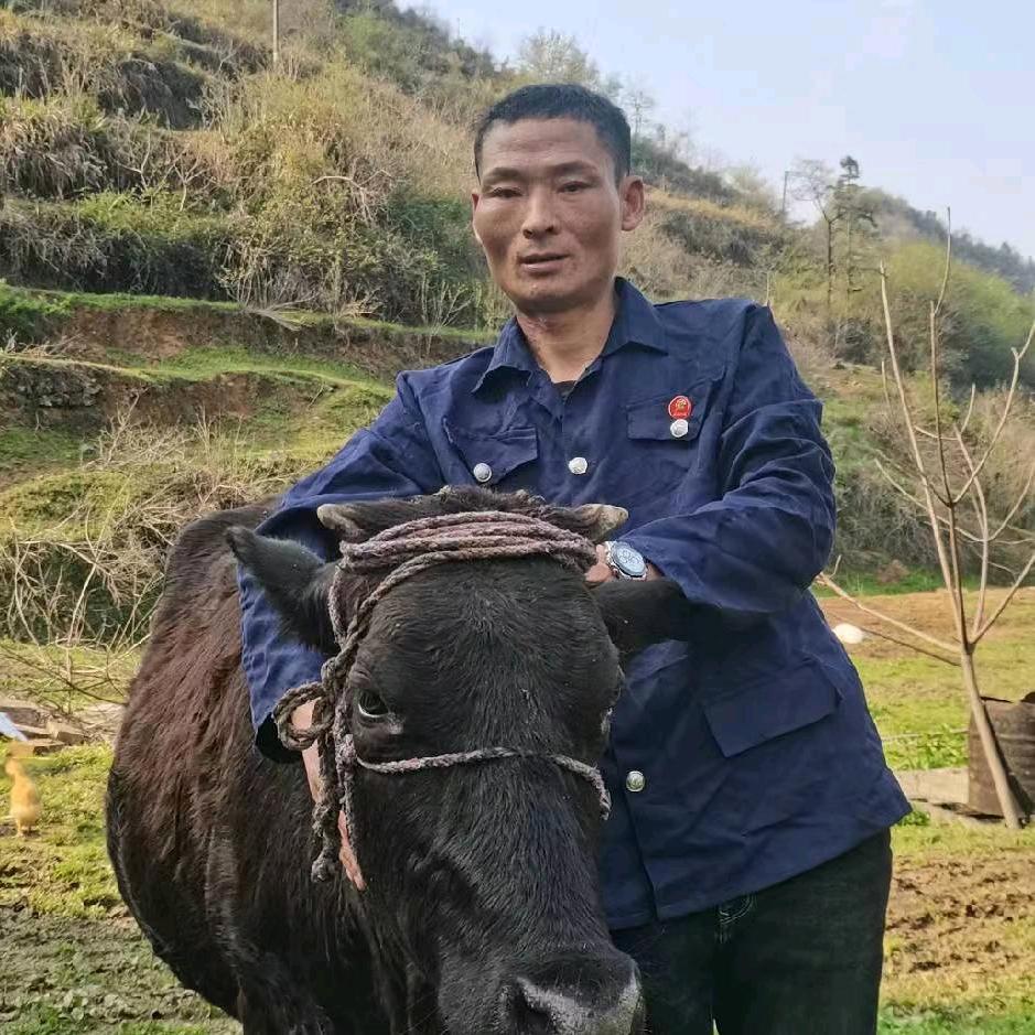 社会红哥