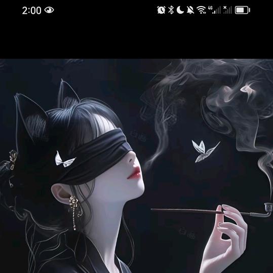 不念过往