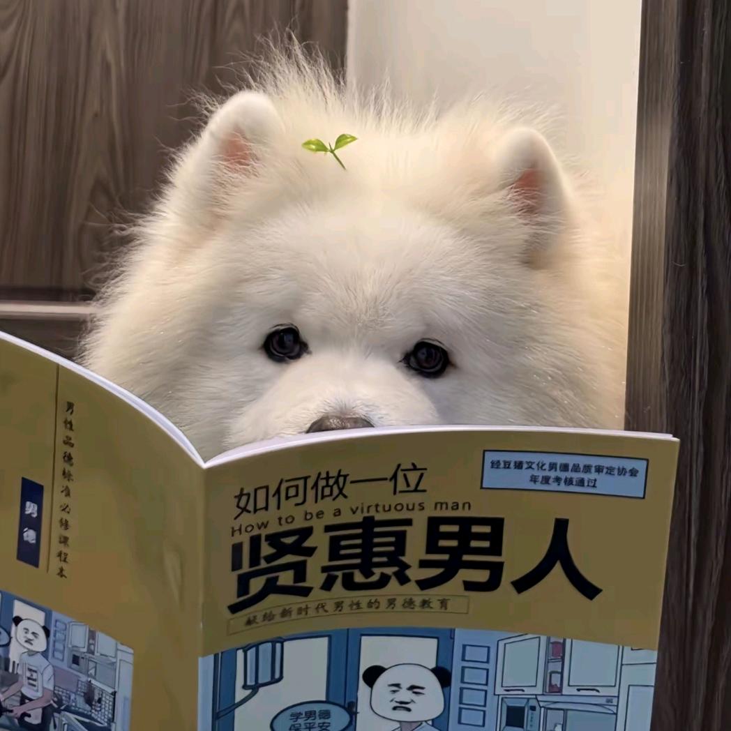 不敢拧