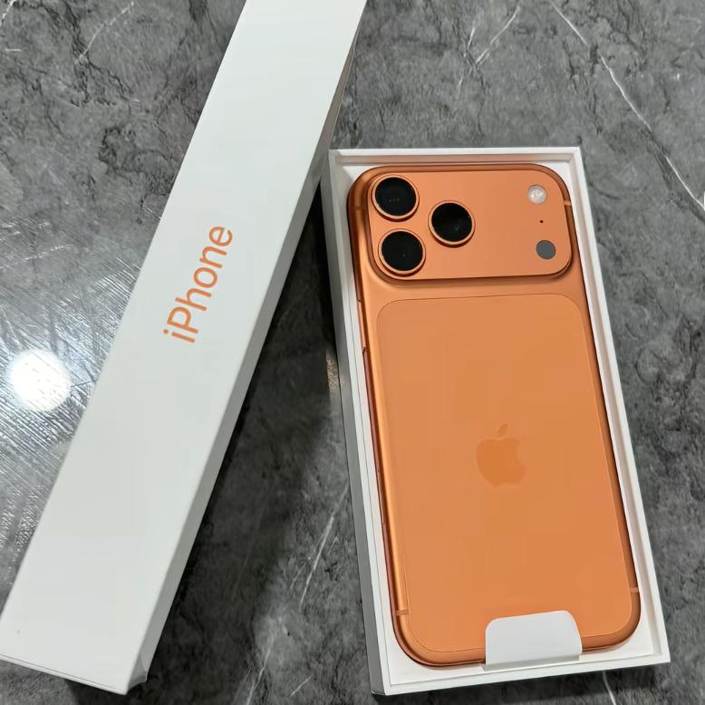 猫头鹰🦉 暂时休息