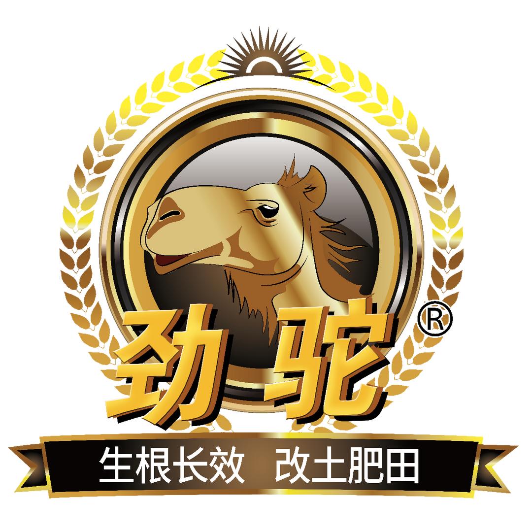 银川农泰