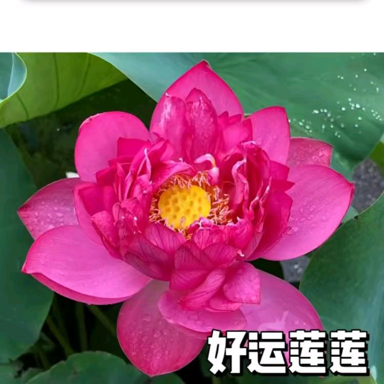 AA幸福快乐131419