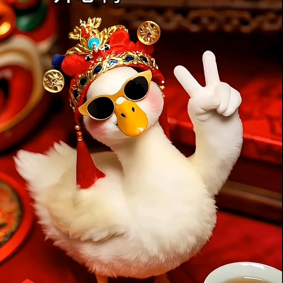 窜天猴