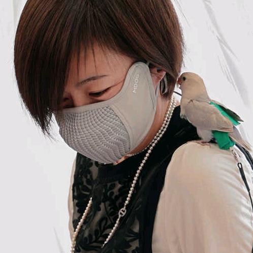 徐掌柜
