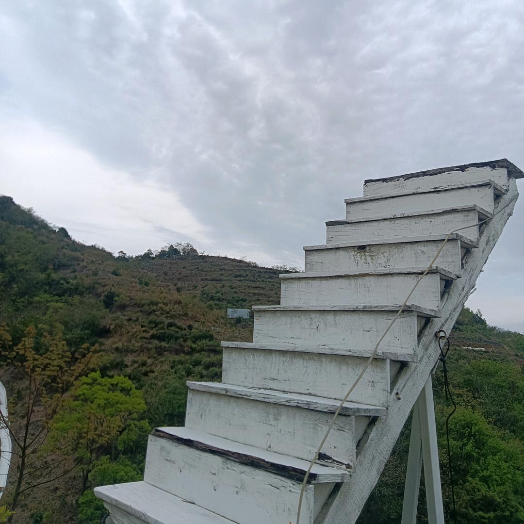 随风…