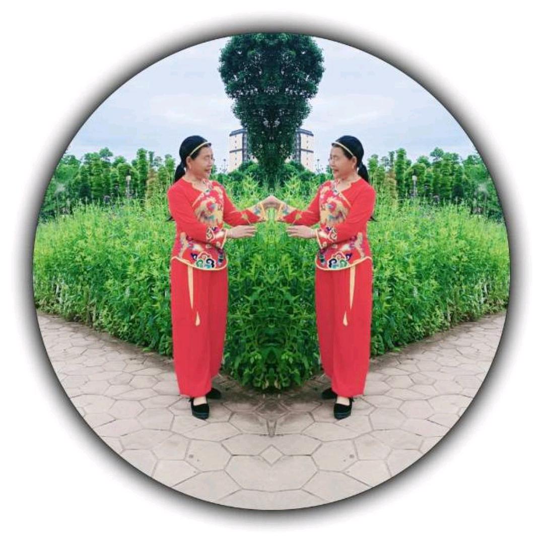 同同爱舞蹈生活