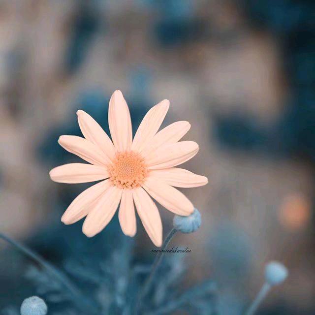 @曹曹