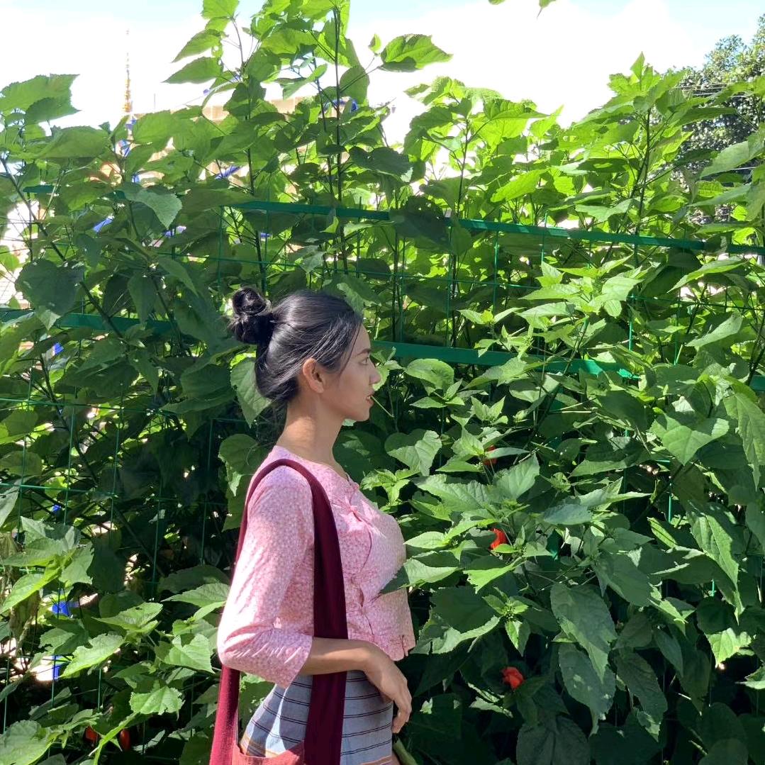 茶女👄   苏琴