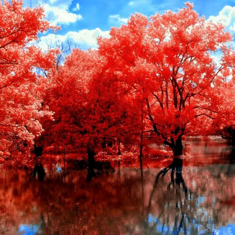 灸缘·推拿养生