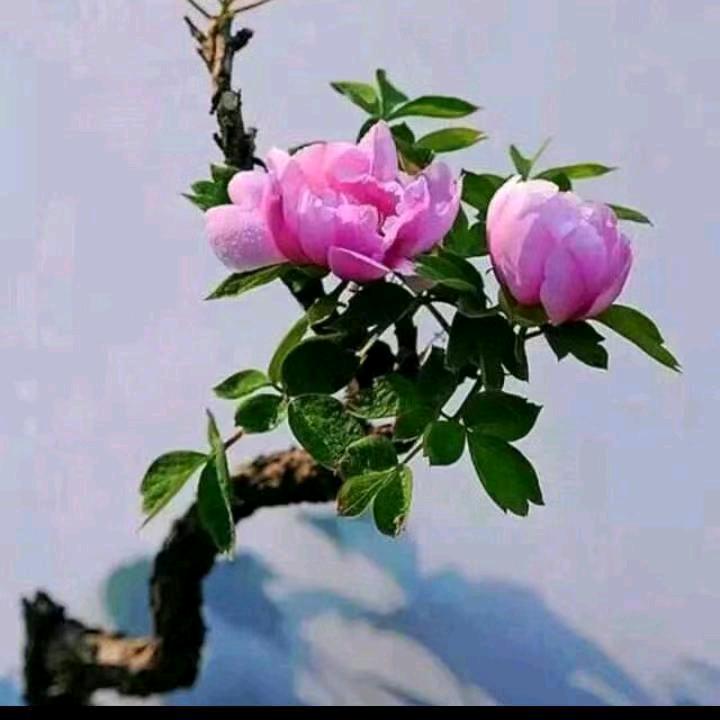 我在贵州等你